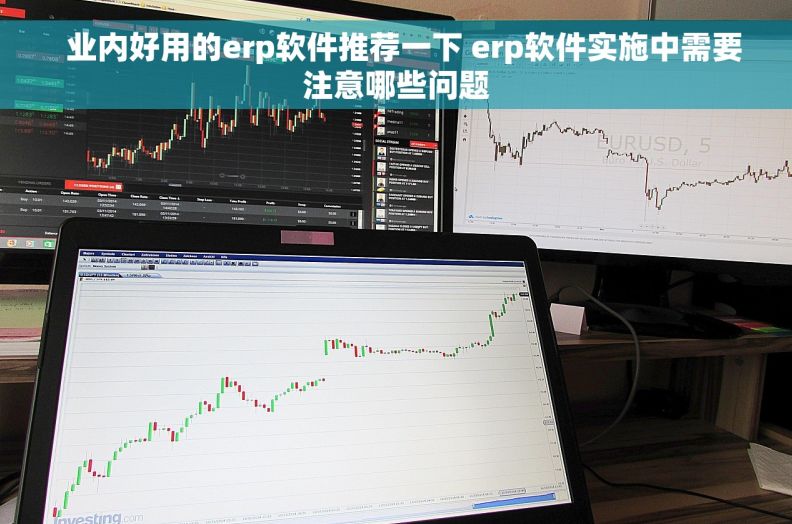   业内好用的erp软件推荐一下 erp软件实施中需要注意哪些问题