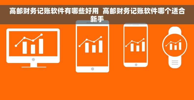 高邮财务记账软件有哪些好用  高邮财务记账软件哪个适合新手