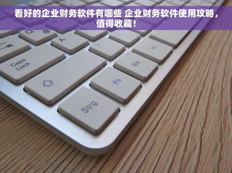 看好的企业财务软件有哪些 企业财务软件使用攻略，值得收藏！