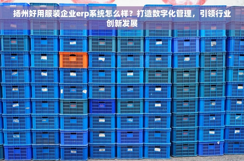 扬州好用服装企业erp系统怎么样？打造数字化管理，引领行业创新发展