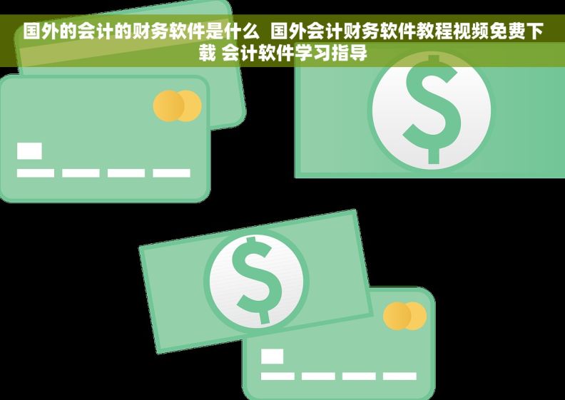 国外的会计的财务软件是什么  国外会计财务软件教程视频免费下载 会计软件学习指导