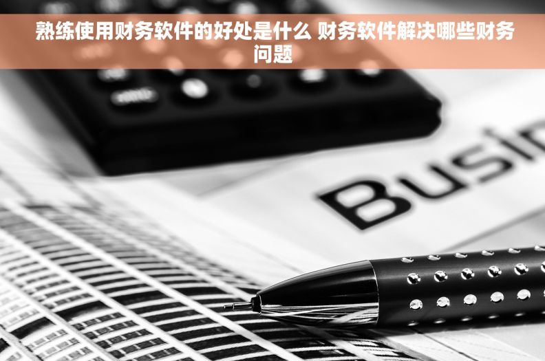  熟练使用财务软件的好处是什么 财务软件解决哪些财务问题