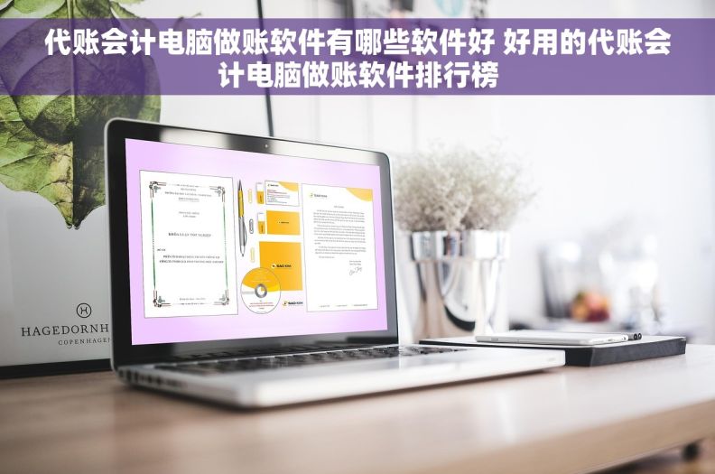 代账会计电脑做账软件有哪些软件好 好用的代账会计电脑做账软件排行榜