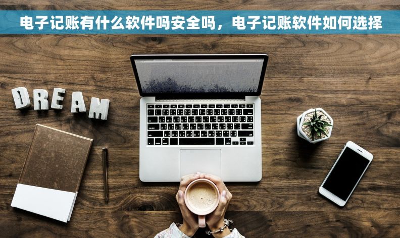 电子记账有什么软件吗安全吗，电子记账软件如何选择