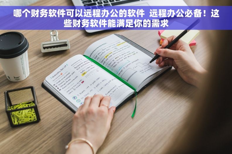 哪个财务软件可以远程办公的软件  远程办公必备！这些财务软件能满足你的需求