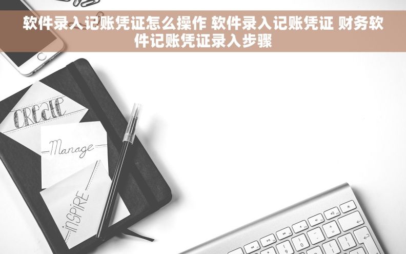 软件录入记账凭证怎么操作 软件录入记账凭证 财务软件记账凭证录入步骤