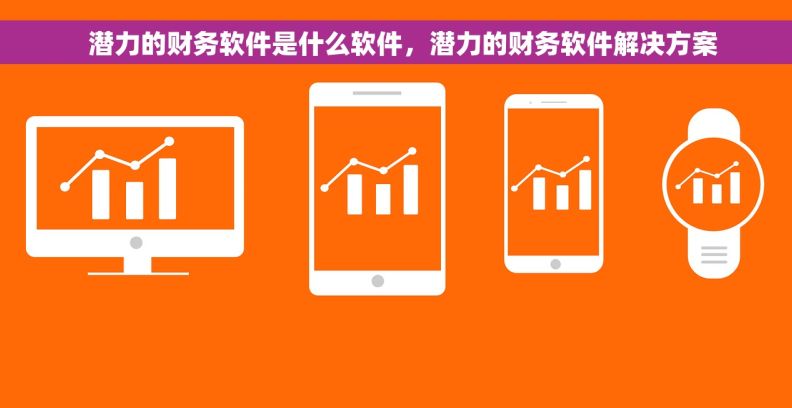   潜力的财务软件是什么软件，潜力的财务软件解决方案