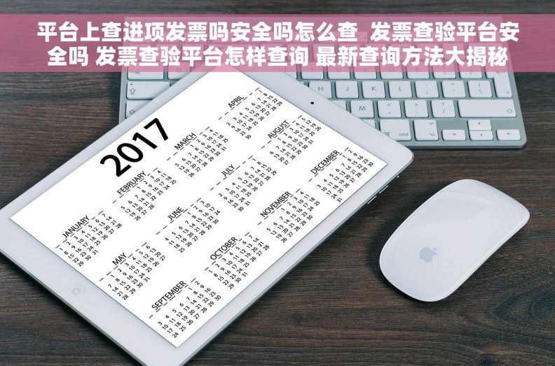 平台上查进项发票吗安全吗怎么查  发票查验平台安全吗 发票查验平台怎样查询 最新查询方法大揭秘
