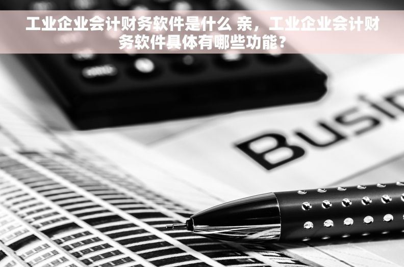 工业企业会计财务软件是什么 亲，工业企业会计财务软件具体有哪些功能？