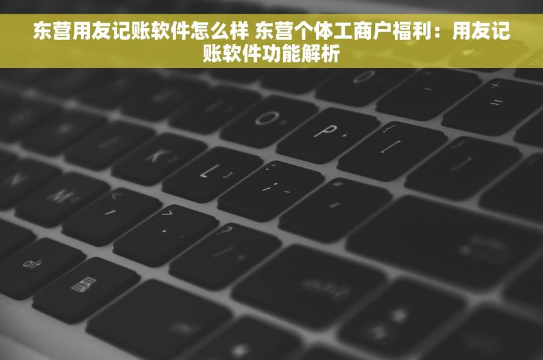 东营用友记账软件怎么样 东营个体工商户福利：用友记账软件功能解析