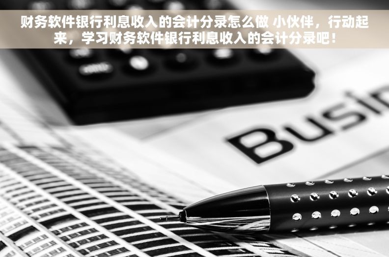财务软件银行利息收入的会计分录怎么做 小伙伴，行动起来，学习财务软件银行利息收入的会计分录吧！