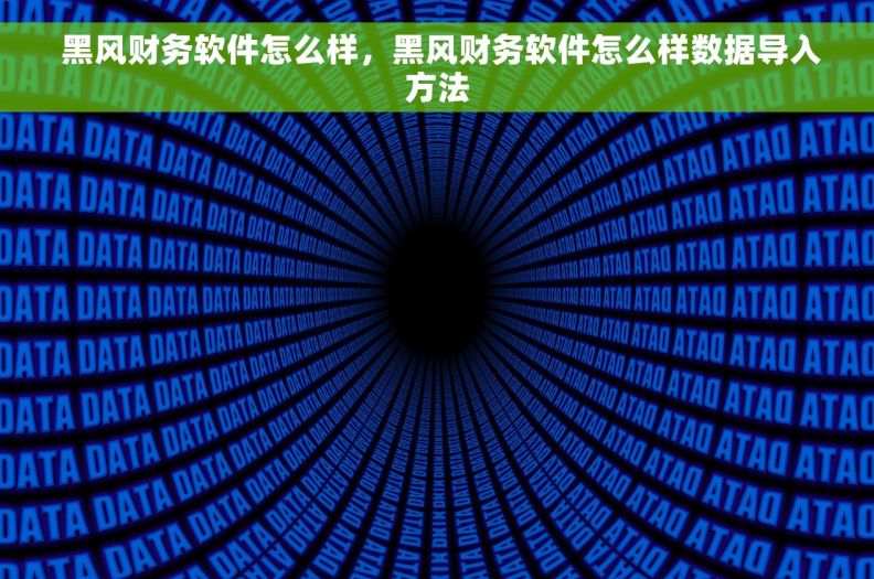  黑风财务软件怎么样，黑风财务软件怎么样数据导入方法