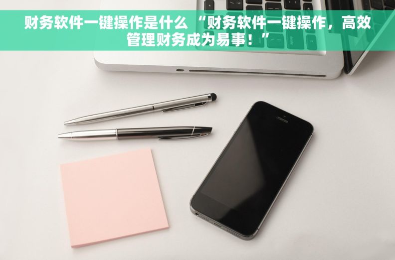 财务软件一键操作是什么 “财务软件一键操作，高效管理财务成为易事！”