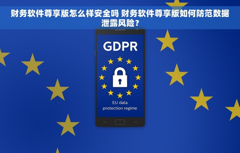 财务软件尊享版怎么样安全吗 财务软件尊享版如何防范数据泄露风险？