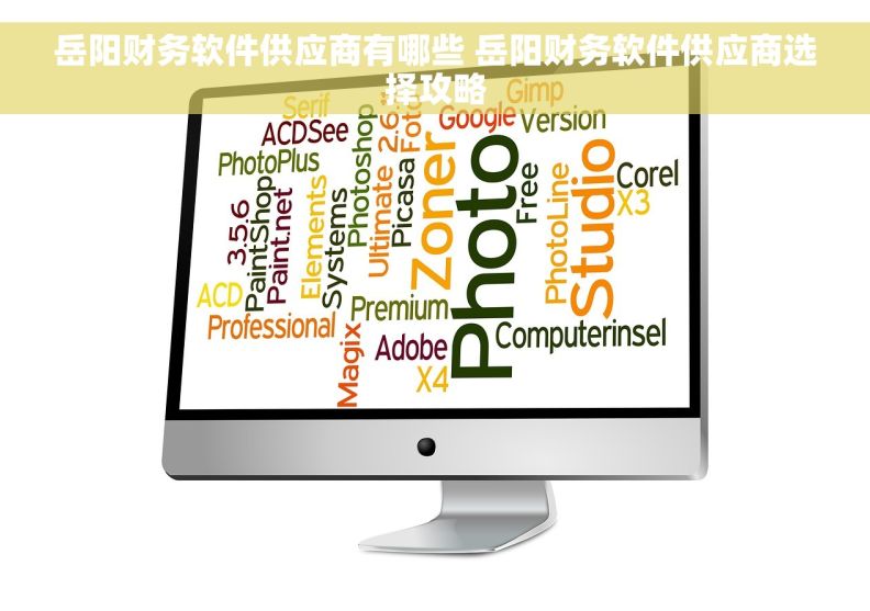 岳阳财务软件供应商有哪些 岳阳财务软件供应商选择攻略