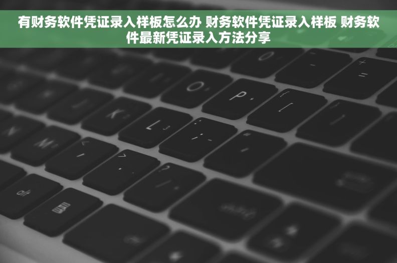 有财务软件凭证录入样板怎么办 财务软件凭证录入样板 财务软件最新凭证录入方法分享
