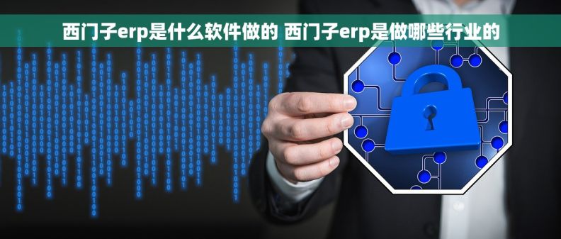 西门子erp是什么软件做的 西门子erp是做哪些行业的