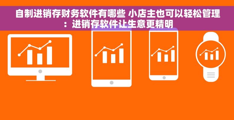 自制进销存财务软件有哪些 小店主也可以轻松管理：进销存软件让生意更精明