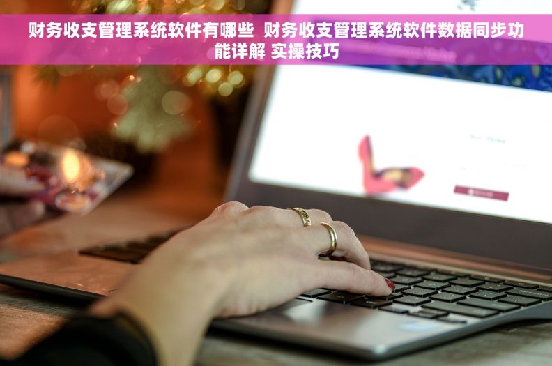 财务收支管理系统软件有哪些  财务收支管理系统软件数据同步功能详解 实操技巧