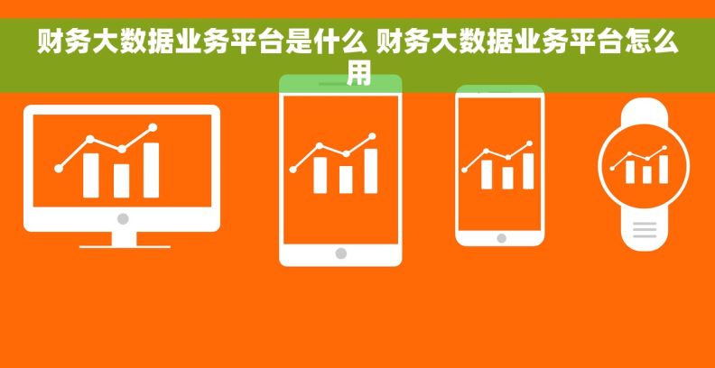 财务大数据业务平台是什么 财务大数据业务平台怎么用