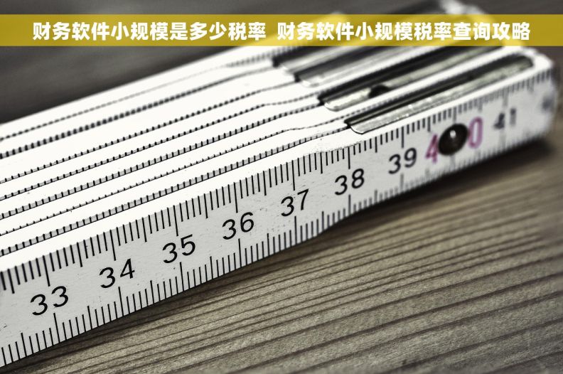 财务软件小规模是多少税率  财务软件小规模税率查询攻略