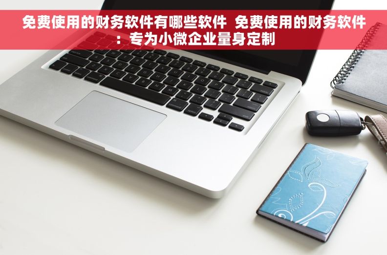 免费使用的财务软件有哪些软件  免费使用的财务软件：专为小微企业量身定制