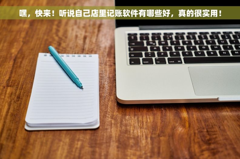 嘿，快来！听说自己店里记账软件有哪些好，真的很实用！