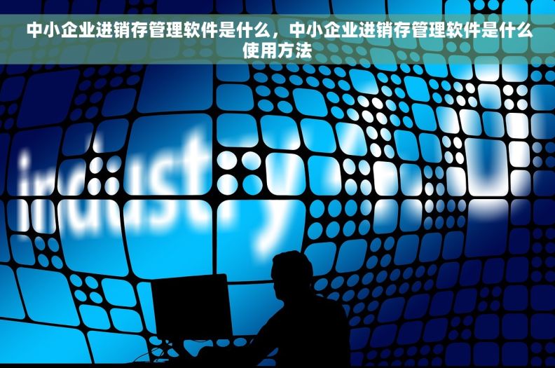  中小企业进销存管理软件是什么，中小企业进销存管理软件是什么使用方法
