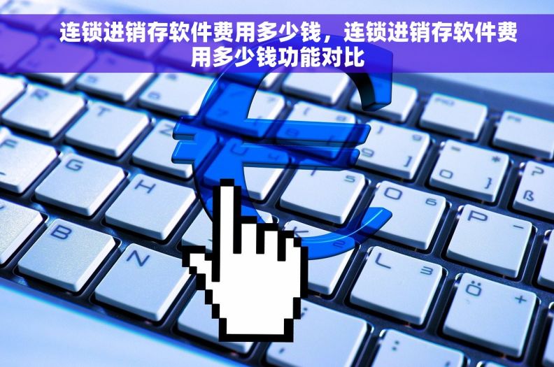     连锁进销存软件费用多少钱，连锁进销存软件费用多少钱功能对比