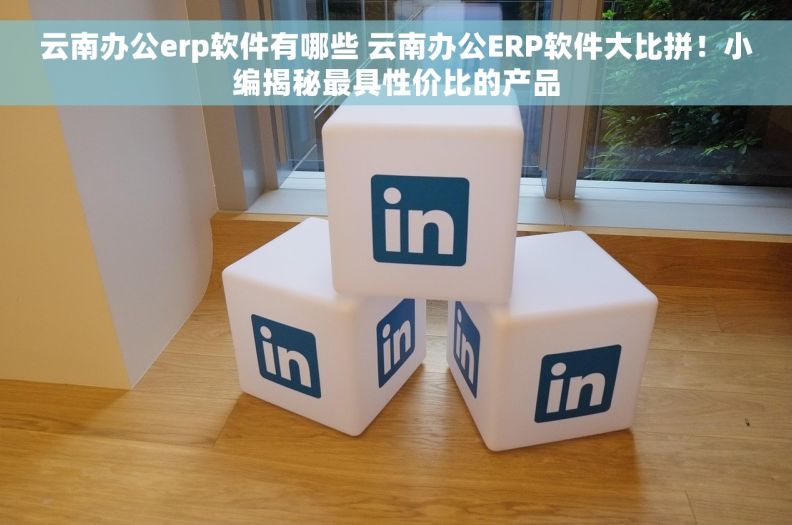 云南办公erp软件有哪些 云南办公ERP软件大比拼！小编揭秘最具性价比的产品