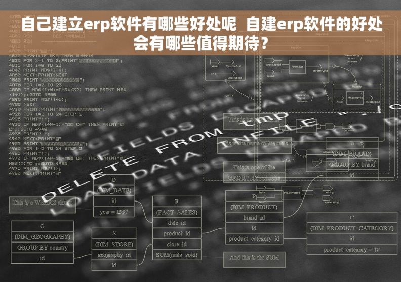 自己建立erp软件有哪些好处呢  自建erp软件的好处会有哪些值得期待？
