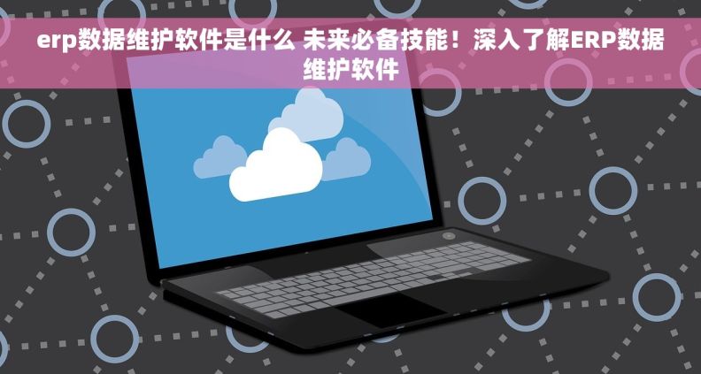 erp数据维护软件是什么 未来必备技能！深入了解ERP数据维护软件