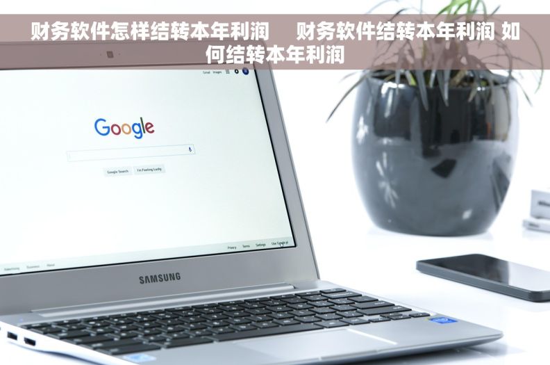 财务软件怎样结转本年利润     财务软件结转本年利润 如何结转本年利润