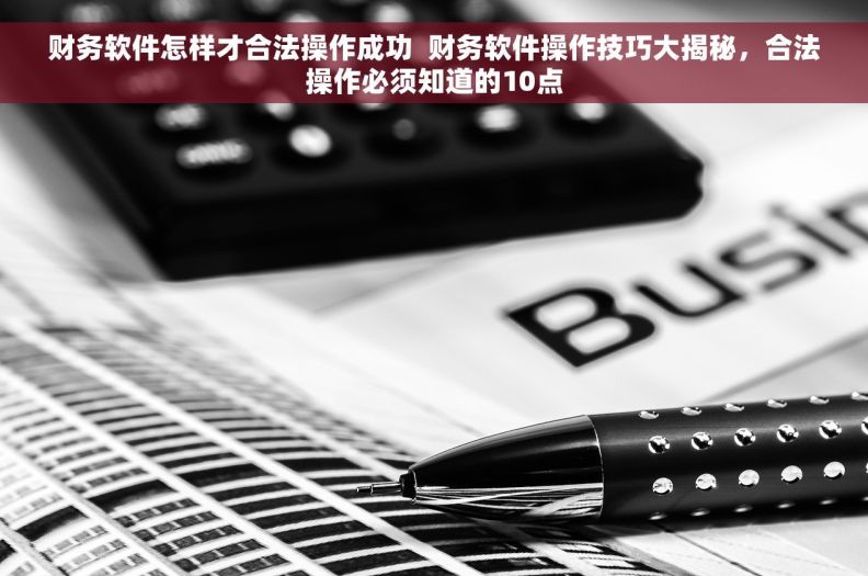 财务软件怎样才合法操作成功  财务软件操作技巧大揭秘，合法操作必须知道的10点