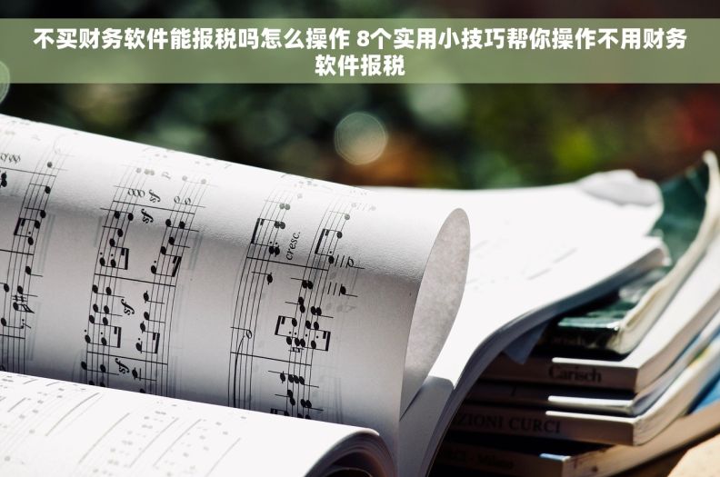 不买财务软件能报税吗怎么操作 8个实用小技巧帮你操作不用财务软件报税
