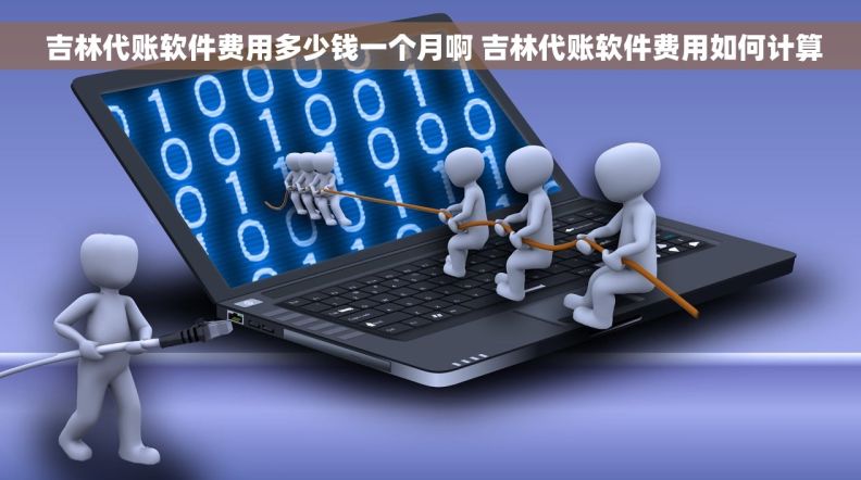  吉林代账软件费用多少钱一个月啊 吉林代账软件费用如何计算