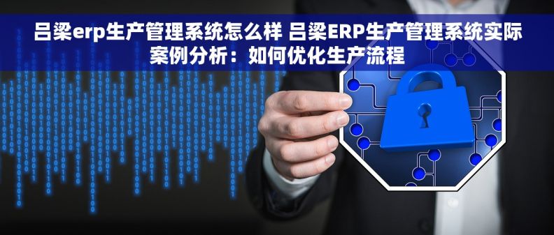 吕梁erp生产管理系统怎么样 吕梁ERP生产管理系统实际案例分析：如何优化生产流程