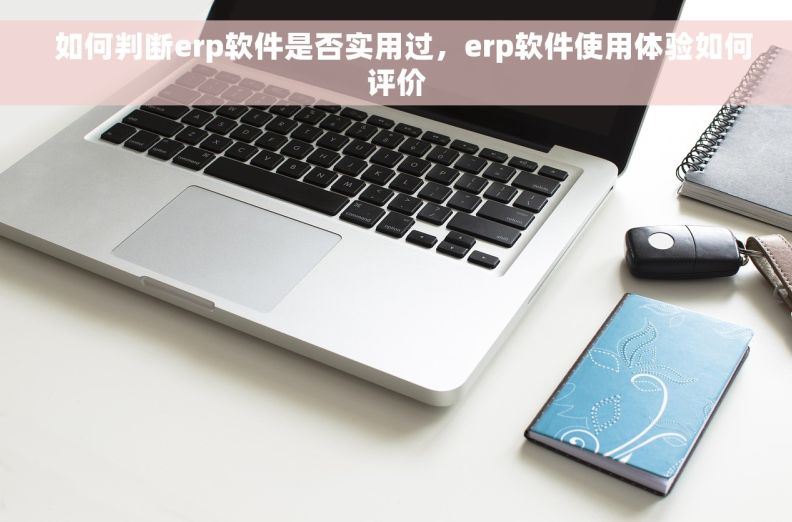   如何判断erp软件是否实用过，erp软件使用体验如何评价