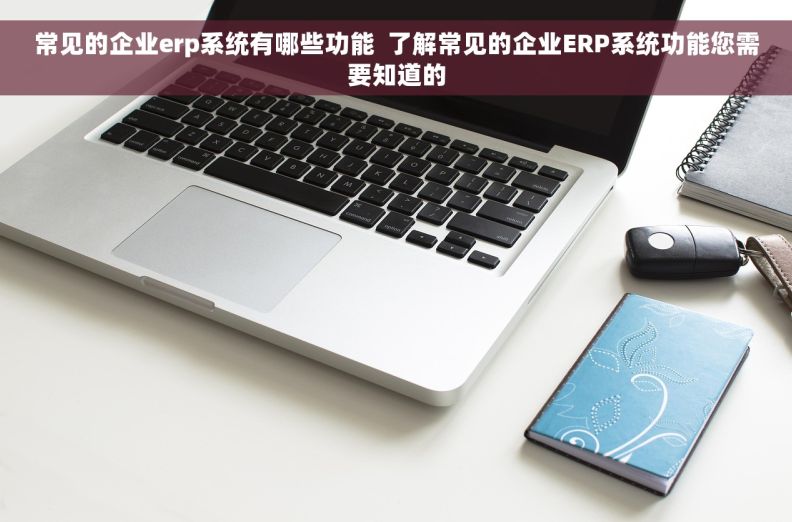 常见的企业erp系统有哪些功能  了解常见的企业ERP系统功能您需要知道的