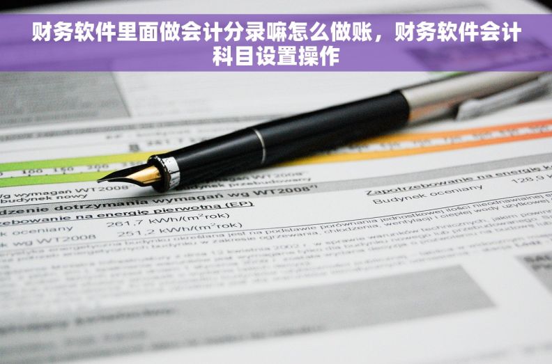 财务软件里面做会计分录嘛怎么做账，财务软件会计科目设置操作