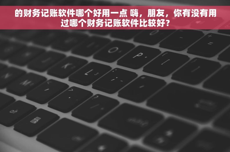 的财务记账软件哪个好用一点 嗨，朋友，你有没有用过哪个财务记账软件比较好？