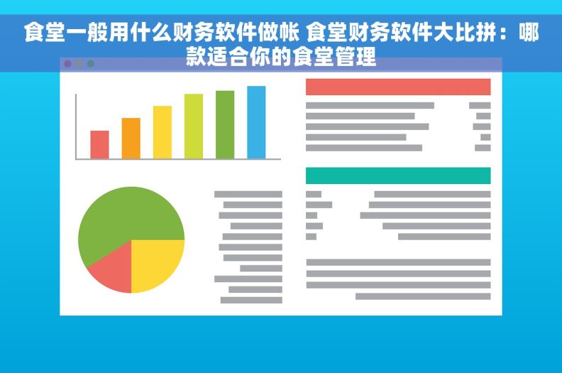 食堂一般用什么财务软件做帐 食堂财务软件大比拼：哪款适合你的食堂管理