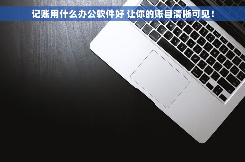 记账用什么办公软件好 让你的账目清晰可见! 记账用什么办公软件好 让你的账目清晰可见!