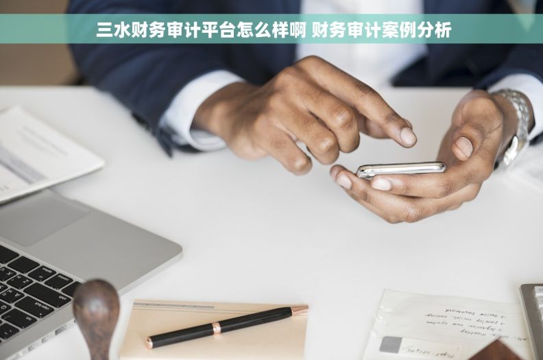  三水财务审计平台怎么样啊 财务审计案例分析