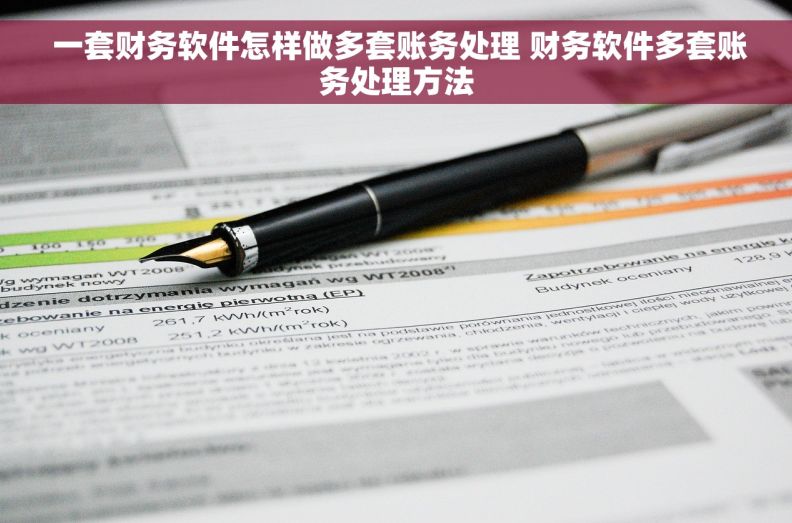  一套财务软件怎样做多套账务处理 财务软件多套账务处理方法