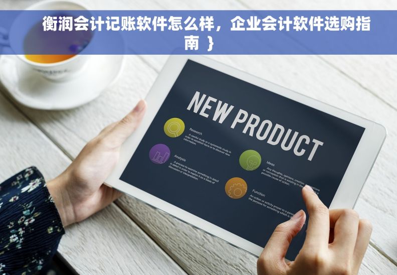     衡润会计记账软件怎么样，企业会计软件选购指南  }