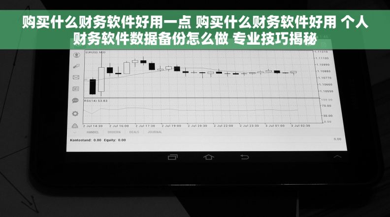 购买什么财务软件好用一点 购买什么财务软件好用 个人财务软件数据备份怎么做 专业技巧揭秘