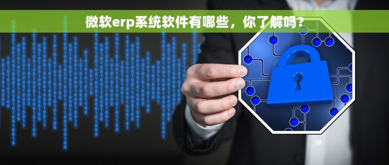 微软erp系统软件有哪些，你了解吗？