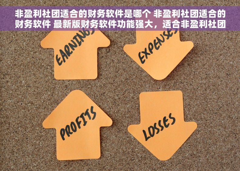 非盈利社团适合的财务软件是哪个 非盈利社团适合的财务软件 最新版财务软件功能强大，适合非盈利社团财务管理