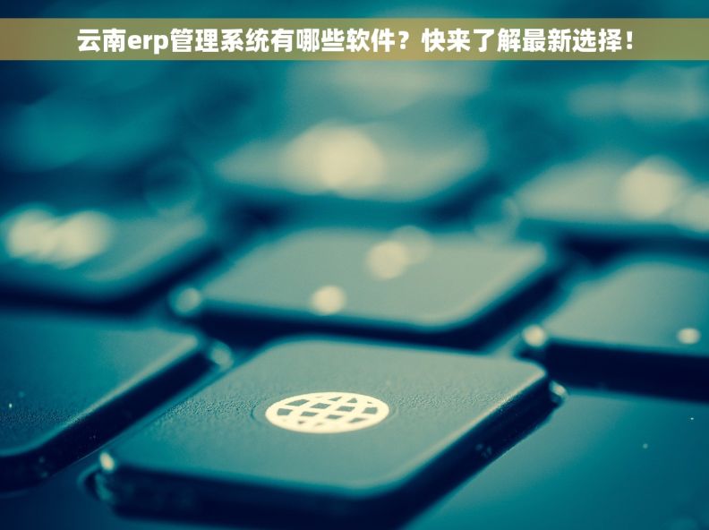 云南erp管理系统有哪些软件？快来了解最新选择！